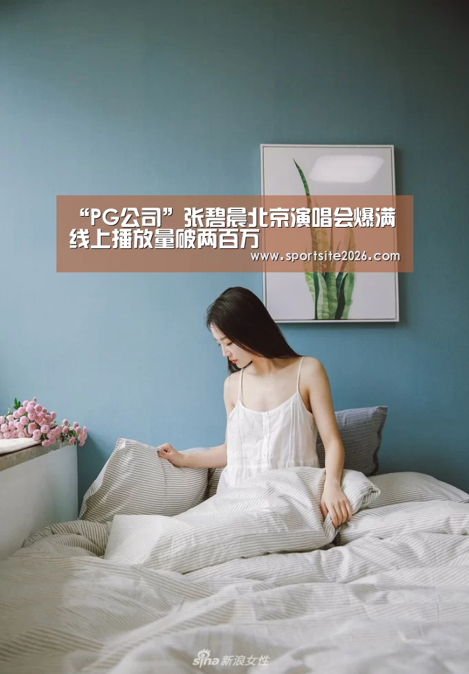 PG模拟器