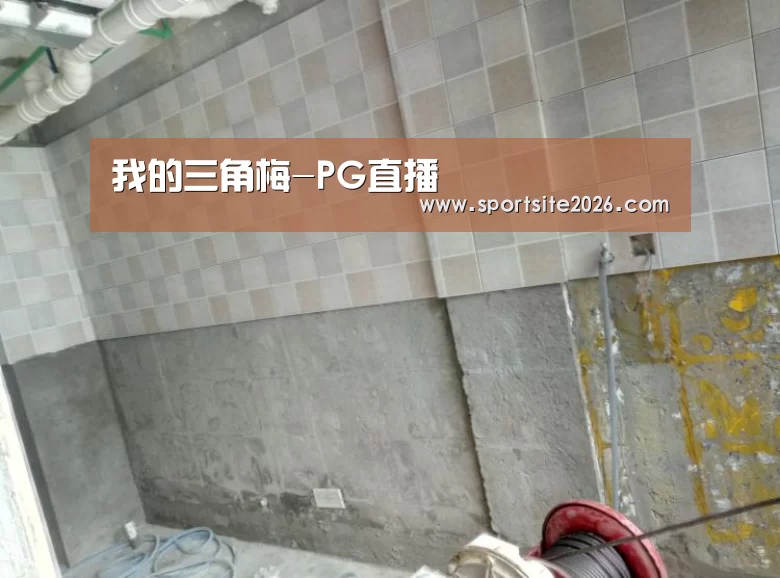 PG模拟器