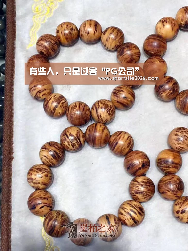 有些人,只是过客“PG公司”(图1) PG模拟器