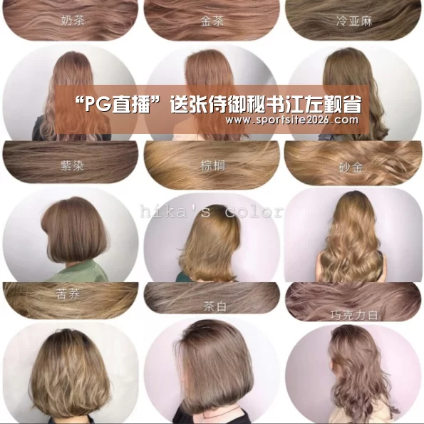 PG公司
